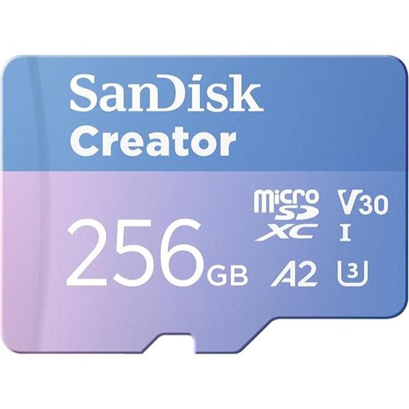 SanDisk 256GB microSD Card with SD Adapter