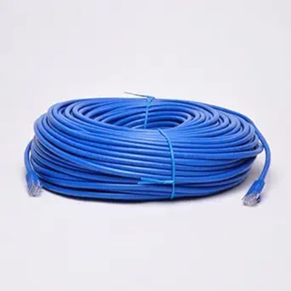 300ft Blue CAT6 Ethernet LAN Network Cable