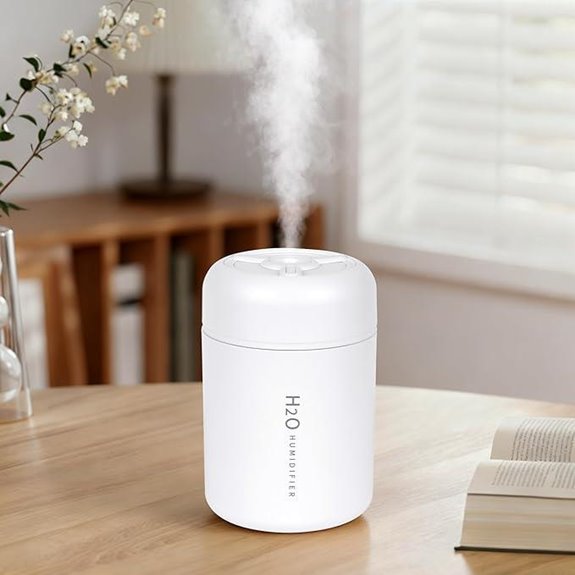 Mini USB Humidifier with Colorful Lights