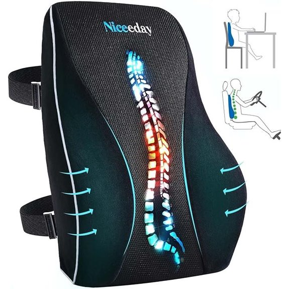 Niceeday Lumbar Support Pillow for Office and Car