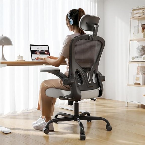 Ergonomic Office Chair High Back 330LBS Black/Grey