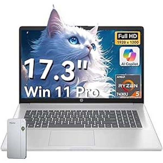 HP 17.3 FHD Business Laptop with Ryzen 5