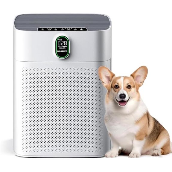 Morento Large Room Air Purifier with Filters