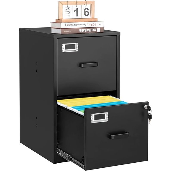 Letaya 2-Drawer Locking Metal Filing Cabinet