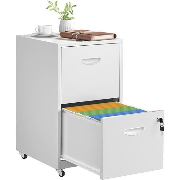 2-Drawer Locking Metal File Cabinet on Wheels