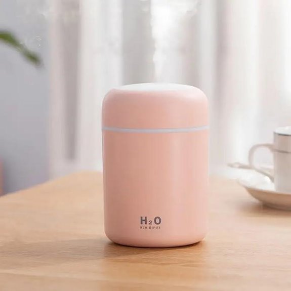 Colorful Portable Mini Humidifier (300ml Pink)