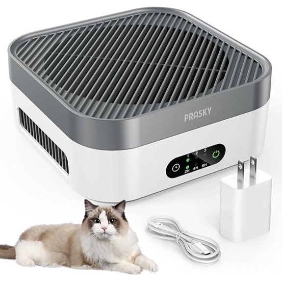 Portable HEPA Air Purifier for Home & Car