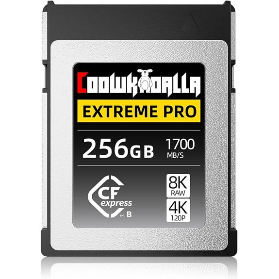 CFexpress Type B Memory Card (256GB Up to 1700MB/s)