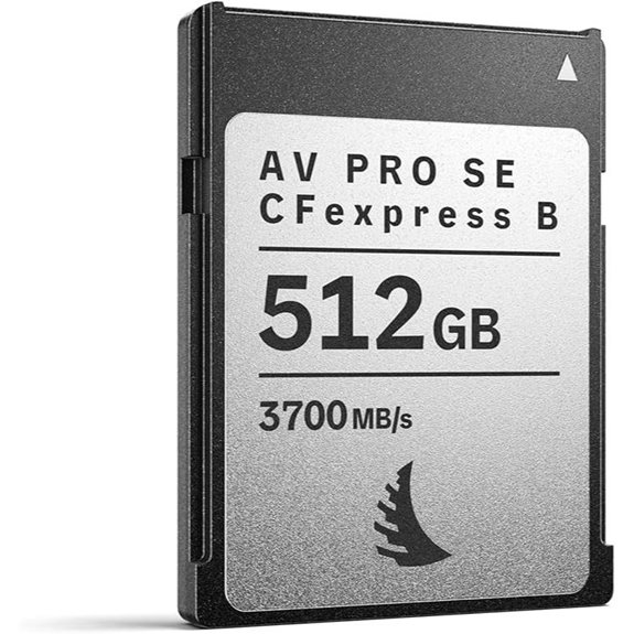 Angelbird AV PRO SE CFexpress B 512GB Memory Card