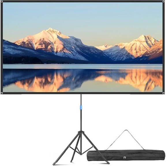 Portable 80 Indoor/Outdoor Projector Screen with Stand