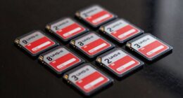 top 1tb sd cards