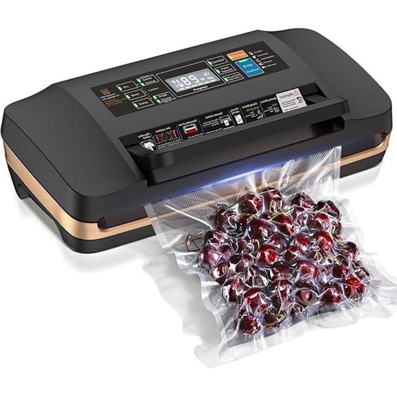 95kpa Vacuum Sealer Machine with Bags and Cutter
