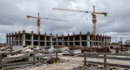 rapid growth quick collapse