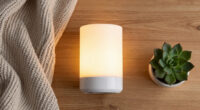 2 Best Home Night Lights in 2026