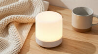 2 Best Home Night Lights In 2026