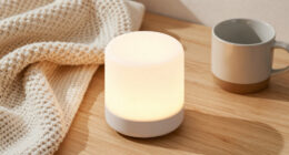 2 Best Home Night Lights In 2026