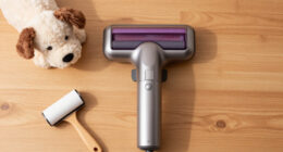 13 Best Car Vacuums for Pet Owners in 2026