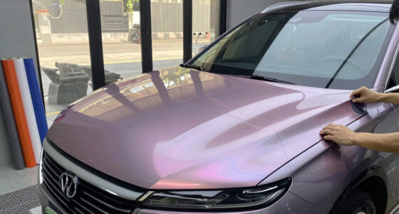 14 Best Car Wraps in 2026