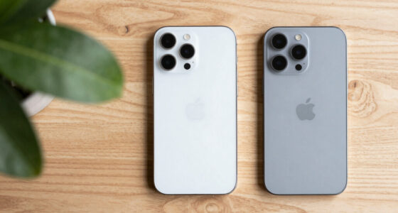 Apple Greift Nach China-Speicher. Europa Hat Nicht Einmal Diese Option.