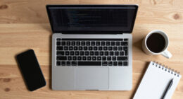 AI Is Removing The Middle Class Of Software Engineering?