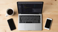 Born Against, Or Why Hobby Programming Communities Are Against LLM Usage