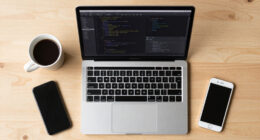 Born Against, Or Why Hobby Programming Communities Are Against LLM Usage