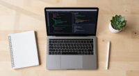 Flint: A Visualization Language For The AI Era