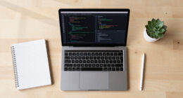 Flint: A Visualization Language For The AI Era