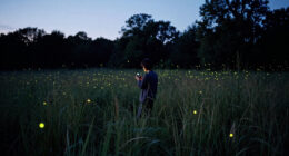 How AI Helped Shape “Luciole — The Synchronous Fireflies Of Vallon Creux”