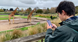 Yorkshire Wildlife Park And The Latest Pet Search Trends